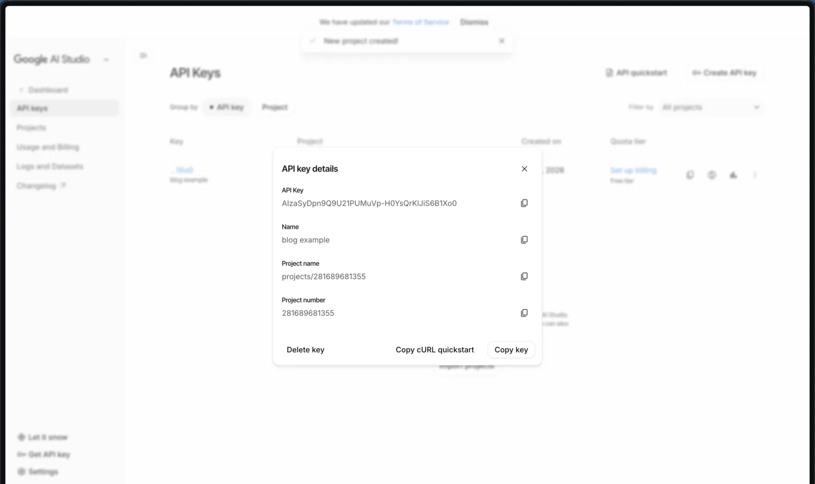 Copy API Key
